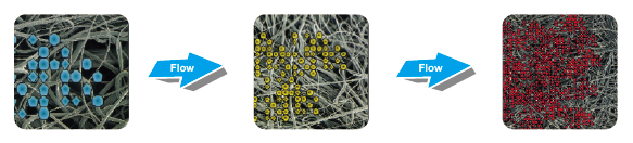 型號(hào)說(shuō)明